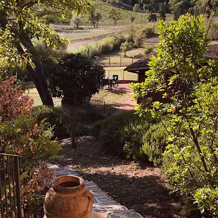 La Gufaia - With Pool Near Florence Carmignano