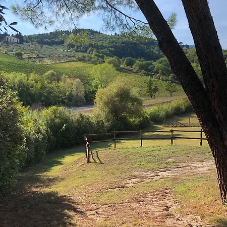 La Gufaia - With Pool Near Florence * Carmignano