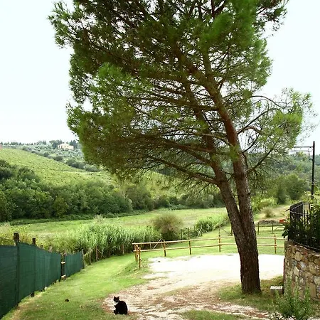 Villa La Gufaia - House With Private Pool Near Florence *