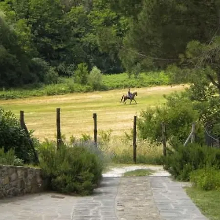 Villa La Gufaia - House With Private Pool Near Florence